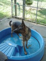 Pal summer day 005.jpg