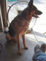Pal summer day 017.jpg