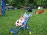 IMG_0594 (Medium).jpg