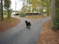 IMG_0575.JPG