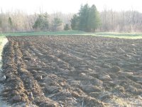 IMG_0600 [800x600].JPG