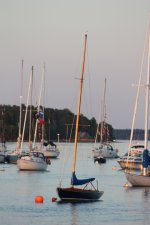 IMG_3209.JPG