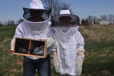 bees-1.jpg
