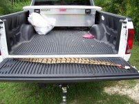 rattlesnake, 07-17-05, truck.jpg