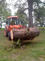 log jpg.JPG