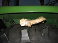 134279d1246852819-antler-rear-tire-ouch-antler-tire.jpg