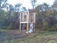 downsized_1013091604.jpg