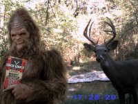 TrailCam.jpg