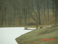 DSC04646.JPG