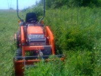 mowing.jpg