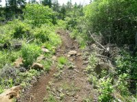 Path made with JD755 loader.JPG