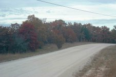 Fall-02.JPG