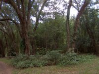 AUG14 009.jpg