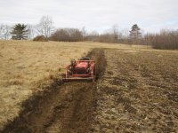 drainage trench 2.JPG