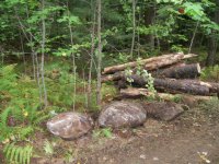 Game Camera 002.jpg