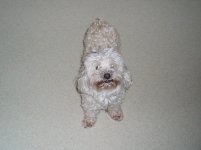 Sam's Pics 002.jpg