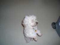 Sam's Pics 001.jpg