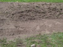 garden.jpg