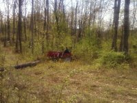 Mahindra in the brush.jpg
