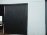 P1010118RS.jpg
