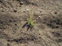 20090501010509_22.JPG