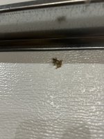IMG_7883.jpeg