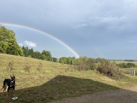 IMG_7852.jpeg