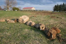 plowing-new-garden-rocks.jpg