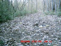 grouse2.JPG