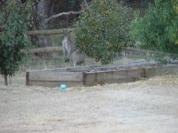 6-05-09 Visitor 2.jpg