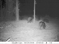 Cam 9-25-09 008.jpg