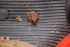 DSC_2328.jpg
