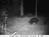 Cam 9-23 24 -09 (10).JPG