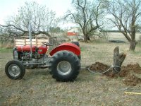 MF135 stump2.JPG