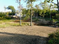 P1000617.jpg