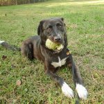 Molly 10 7 24_5.jpg