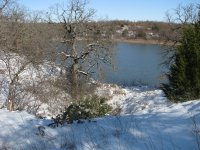 Frozen-Pond-02.jpg