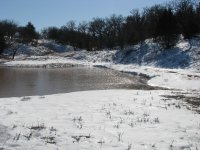 Frozen-Pond-04.jpg