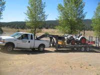 Bobcat002-1.jpg