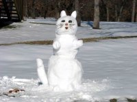 Snow-Kitty-01.jpg