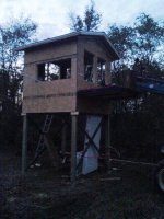downsized_1021091841.jpg