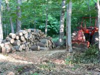 Firewood%202009%20001.jpg