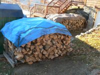 Ready for winter 2009 003.jpg