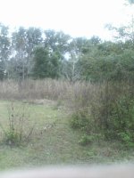 900A0329.JPG