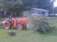 tree going to burn pile on tractor.jpg