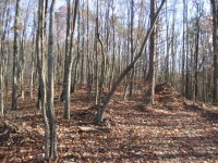 IMG_2603.JPG