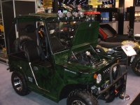GIE 2009 003.jpg
