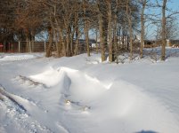 SD530791.jpg