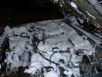 DSCF1056.JPG