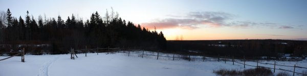 SUNRISE Pan2A.jpg